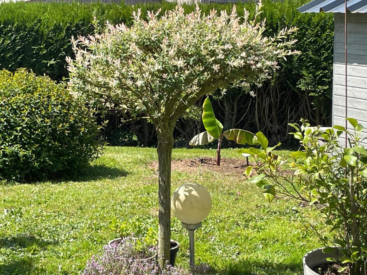 Le Doux Refuge Bed & Breakfast Esquay-sur-Seulles Luaran gambar